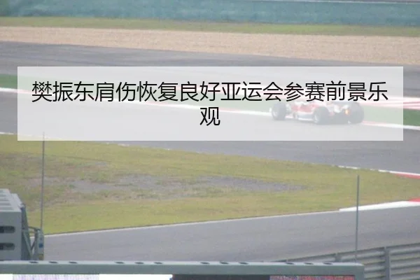 樊振东肩伤恢复良好亚运会参赛前景乐观