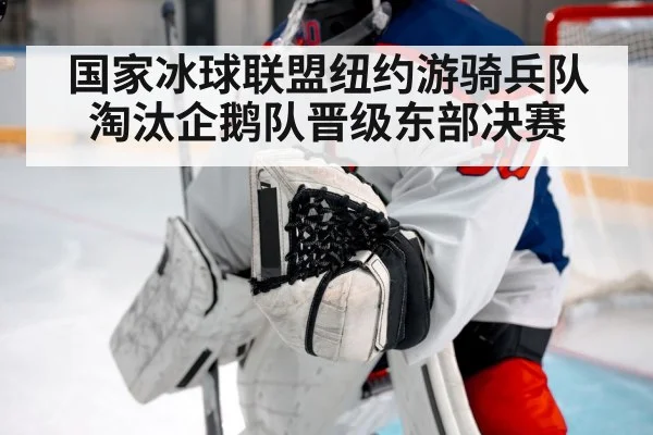 hockey goalie save